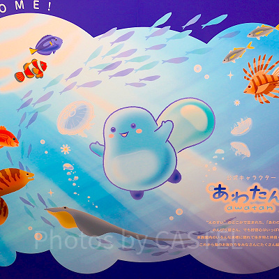 新江ノ島水族館（えのすい）：館内情報