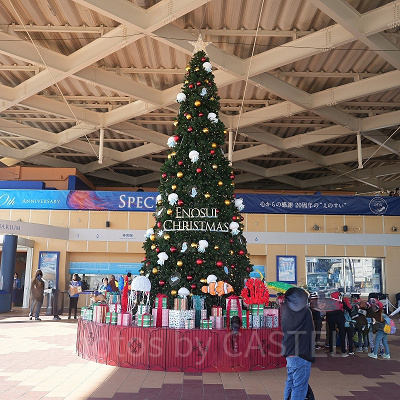 えのすいクリスマス：約7mの大きなクリスマスツリー