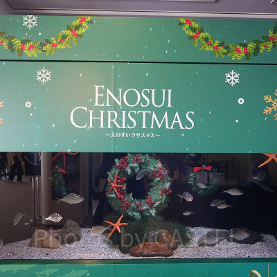 えのすいクリスマス：クリスマス仕様の水槽