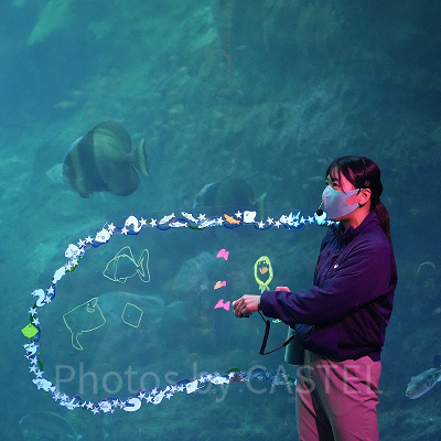 えのすいクリスマス：潜水ショー「フィンズ」（クリスマスver.）