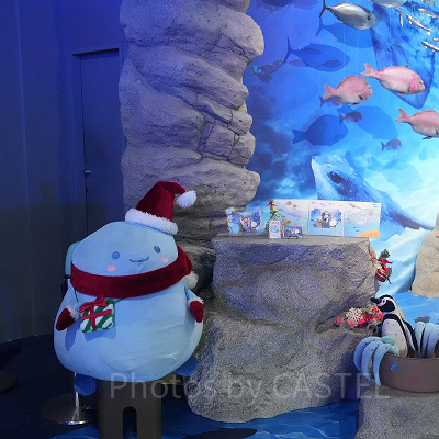 えのすいクリスマス：あわたんとのフォトスポット