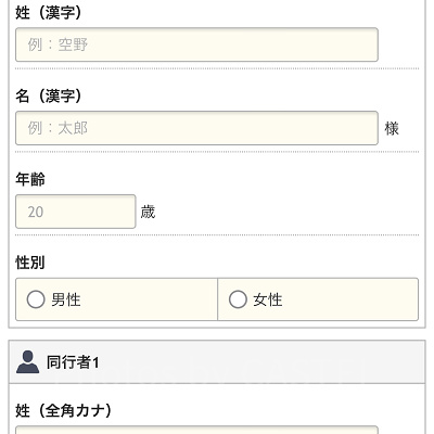 お客さま情報の入力（ANA）