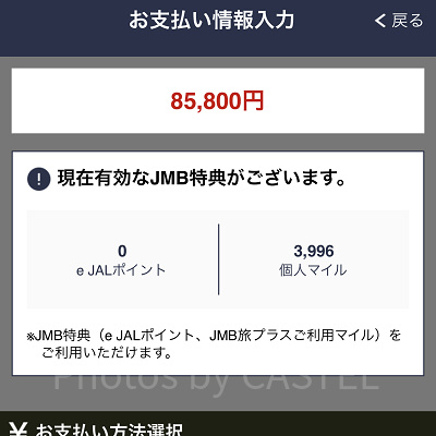 お支払い情報を入力（JAL）
