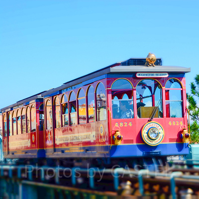 小さい子どもでも飽きない