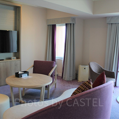 エグゼクティブスイートのリビングルーム