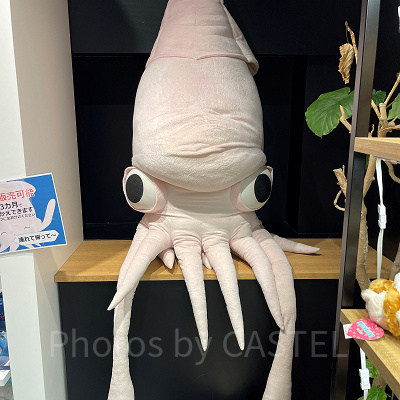 特大ダイオウイカぬいぐるみ（アクアパーク品川グッズ）