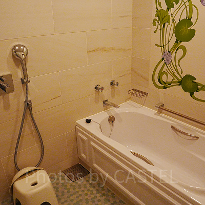 ファンタジーシャトーの客室のお風呂