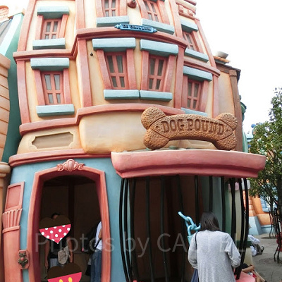 野犬収容所の柵