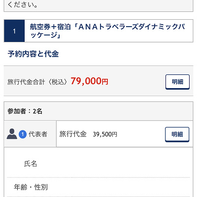 申込内容の最終確認（ANA）