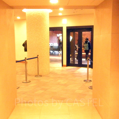 ようやく年パスが手に入りました