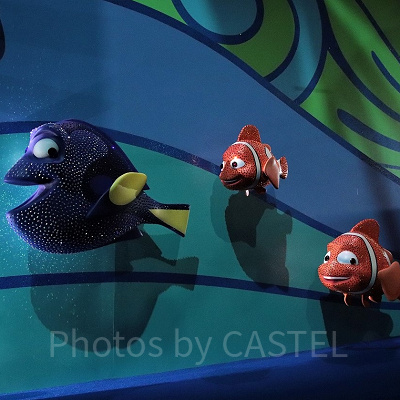 ファインディング・ドリーのメインキャラクター