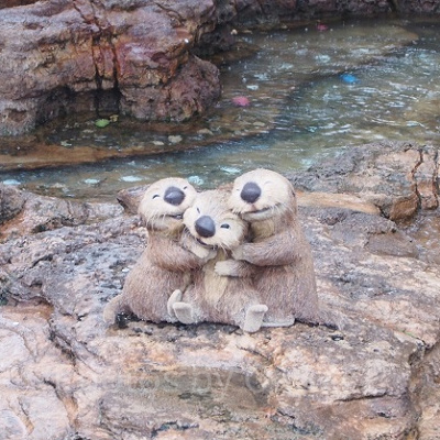 前作から1年後を描いた『ファインディング・ドリー』