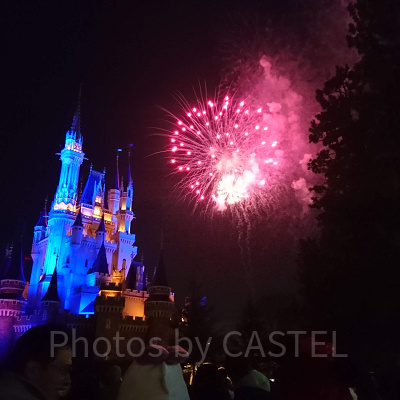 ディズニーランドの花火