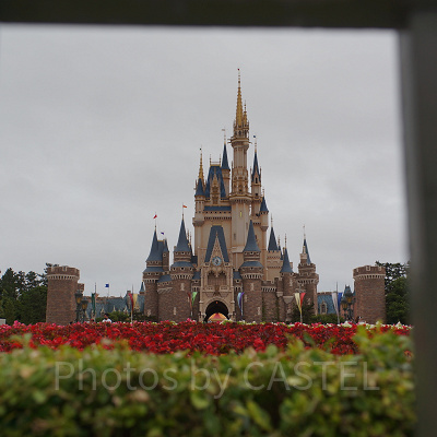 このアングルからは初めて撮影しました