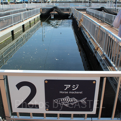 魚釣りができるフィッシャーマンズオアシス