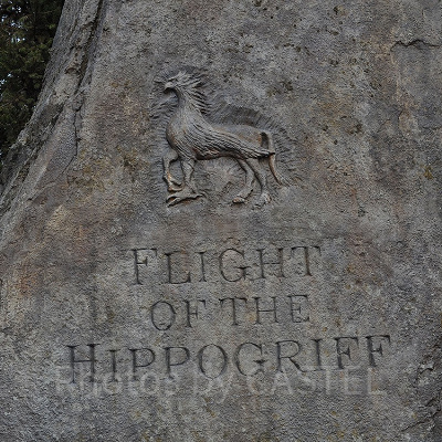 フライト・オブ・ザ・ヒッポグリフ／USJ