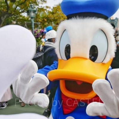 ドナルドとのフリグリ