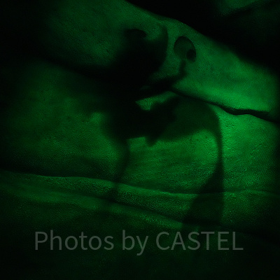 ケーブ・オブ・シャドーの壁に浮かび上がるアリエル（アリエルのプレイグラウンド）