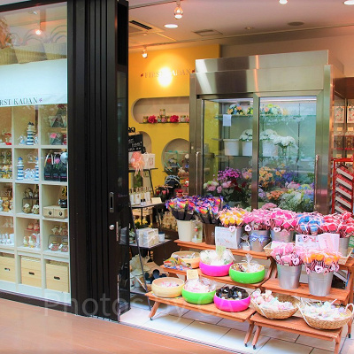 フローリスト ファースト花壇