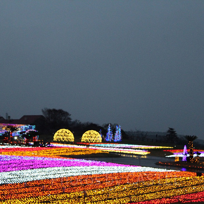 光の花畑