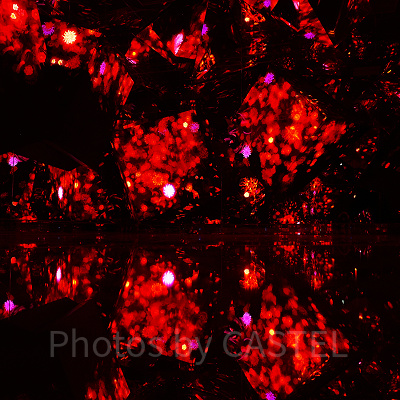 花と人（チームラボボーダレス麻布台）