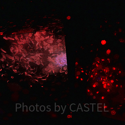 花と人（チームラボボーダレス麻布台）