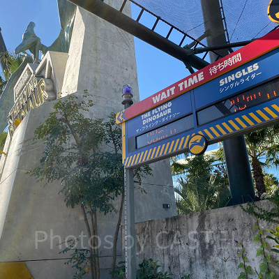 フライングダイナソー