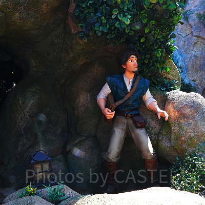 フリンライダー〔ラプンツェルのランタンフェスティバル〕