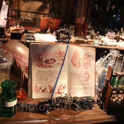 地底生物の化石