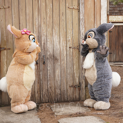 ディズニー　とんすけ　ミスバニー　ブックエンド ミスバニー&とんすけとのフリーグリーティング（ディズニーシー