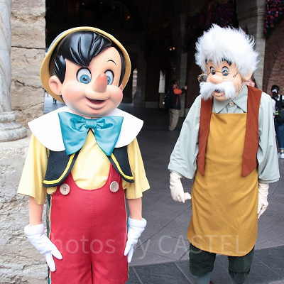 メディテレーニアンハーバーのフリーグリーティング