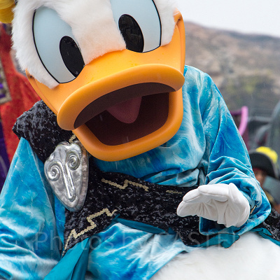 ドナルド　ザ・ヴィランズ・ワールド2017より