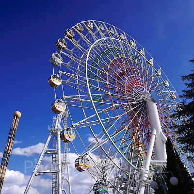 富士急ハイランド/アトラクション