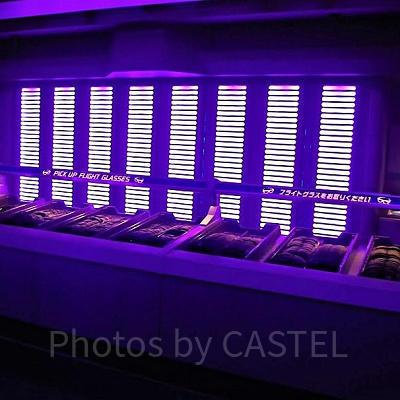 フライトグラスがいっぱい