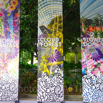 ガーデンズバイザベイ：3つの温室ドームが目玉！