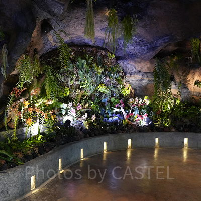 ガーデンズバイザベイ：フローラルファンタジー