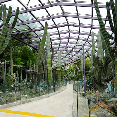 ガーデンズバイザベイ：サン・パビリオン