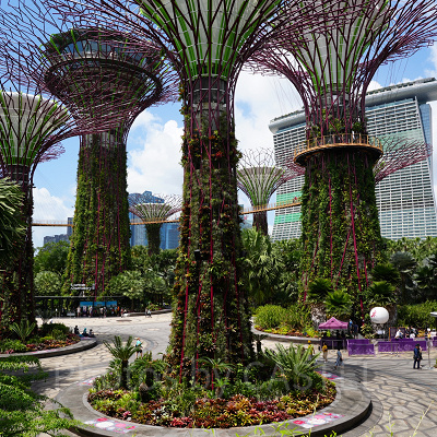 ガーデンズバイザベイ：スーパーツリーグローブ