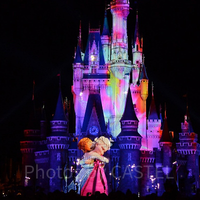 フローズン・フォーエバーを知ろう