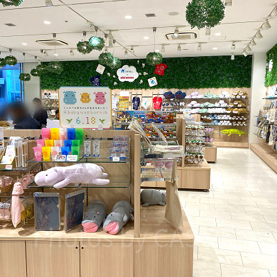 ニフレル館内のギフトショップ