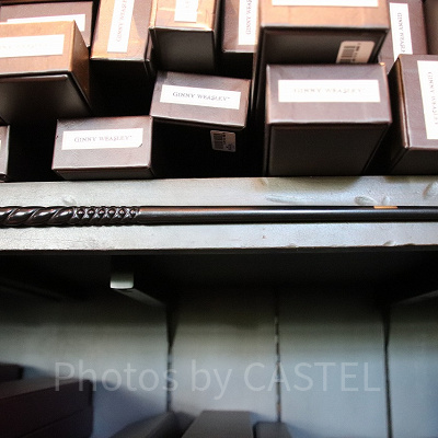 ジニー・ウィーズリーの杖