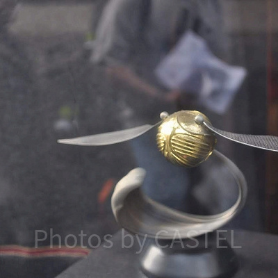 ゴールデンスニッチ