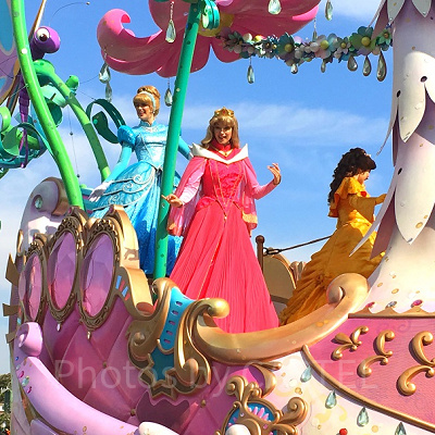 ディズニーを代表するプリンセスたちの豪華共演