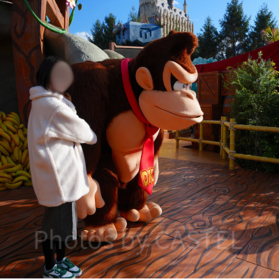 ドンキーコングとグリーティング（自身のカメラでの撮影は斜めから）