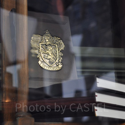 映画『ハリー・ポッター』シリーズに登場するグリフィンドール寮の紋章／USJ