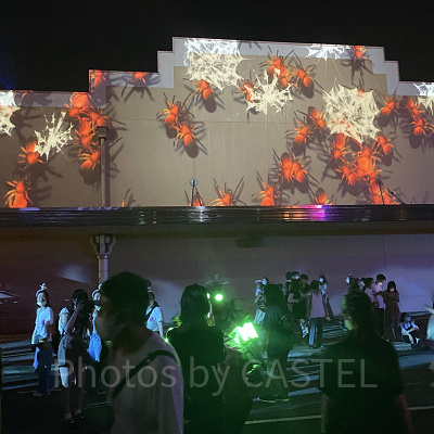 ハロウィーンホラーナイトのプロジェクションマッピング