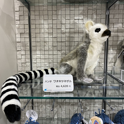 ハンサ　ワオキツネザルぬいぐるみ