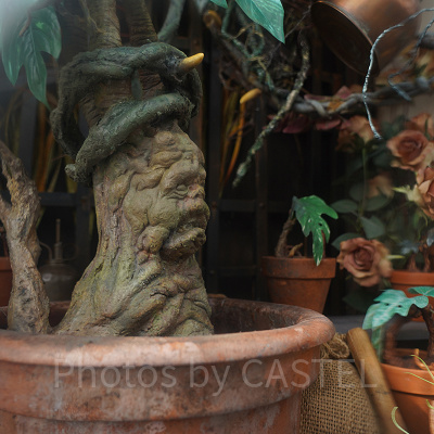 ハリーポッターエリア