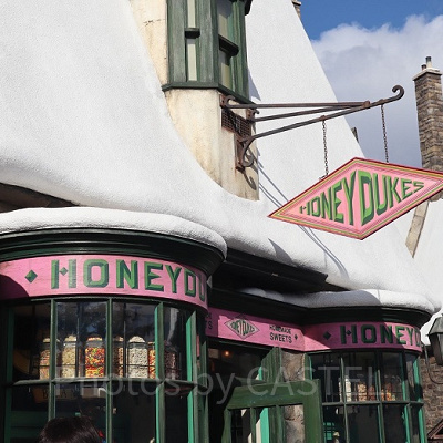 ハリポタエリア/ハニーデュークスのお店