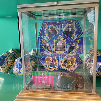 ハリーポッターの蛙チョコ